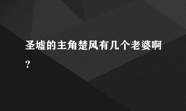 圣墟的主角楚风有几个老婆啊？