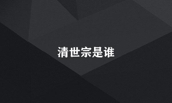 清世宗是谁