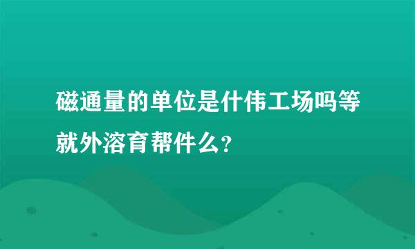 磁通量的单位是什伟工场吗等就外溶育帮件么？