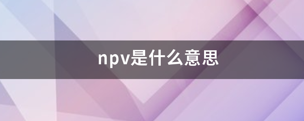 npv是什么意思