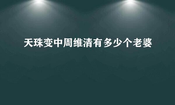 天珠变中周维清有多少个老婆