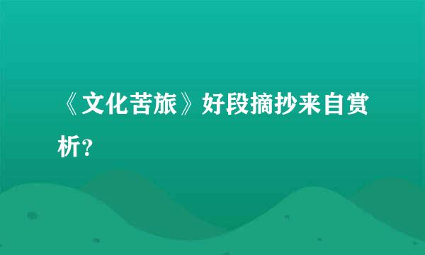 《文化苦旅》好段摘抄来自赏析？