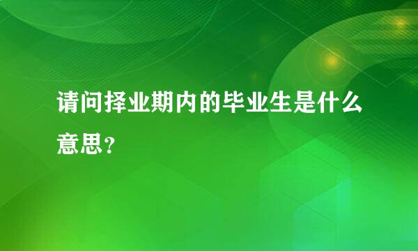 请问择业期内的毕业生是什么意思？