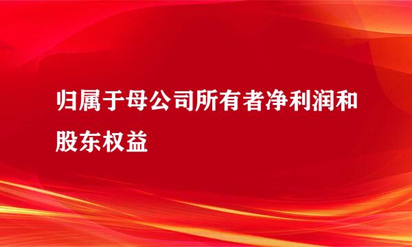 归属于母公司所有者净利润和股东权益