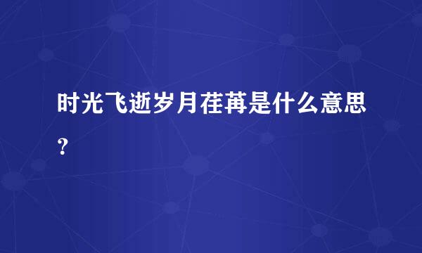 时光飞逝岁月荏苒是什么意思？