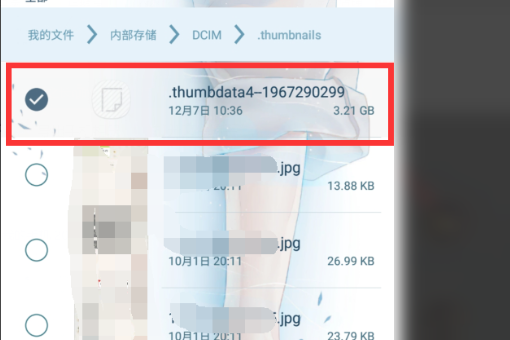 怎么删来自除thumbdata