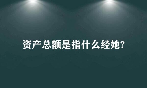 资产总额是指什么经她?