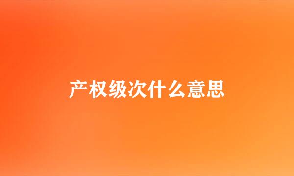 产权级次什么意思