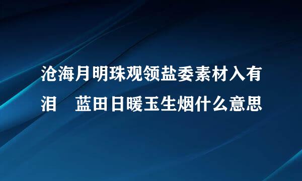 沧海月明珠观领盐委素材入有泪 蓝田日暖玉生烟什么意思