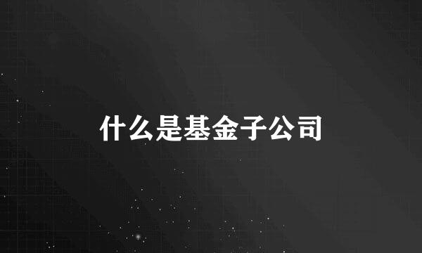 什么是基金子公司