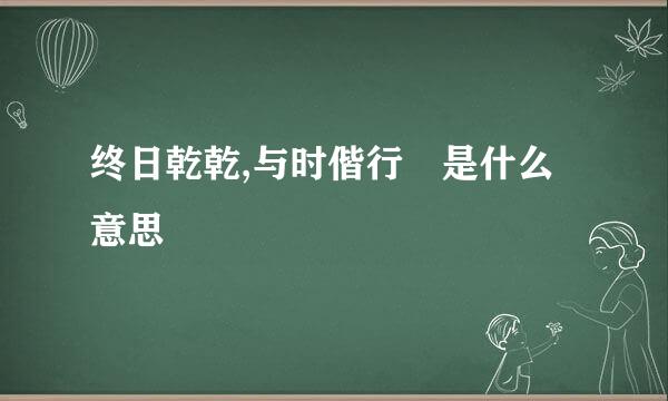 终日乾乾,与时偕行 是什么意思