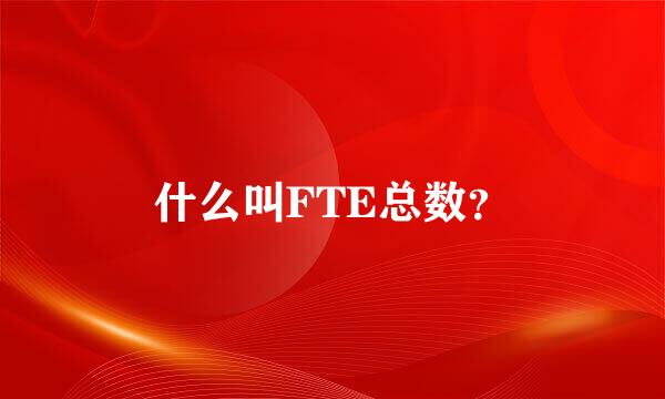 什么叫FTE总数？