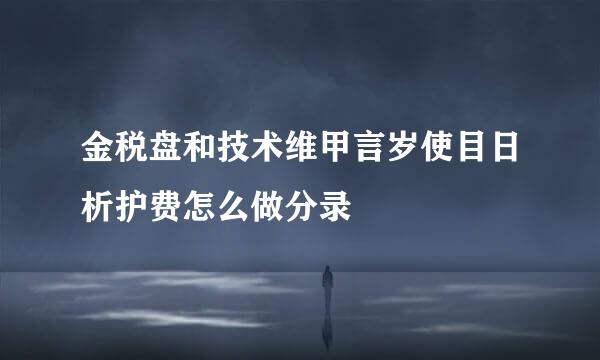 金税盘和技术维甲言岁使目日析护费怎么做分录