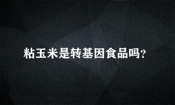 粘玉米是转基因食品吗？