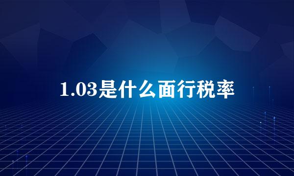 1.03是什么面行税率