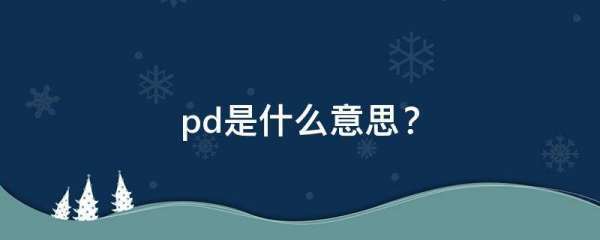 pd是什么意思？