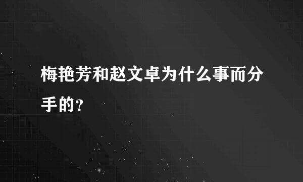 梅艳芳和赵文卓为什么事而分手的？