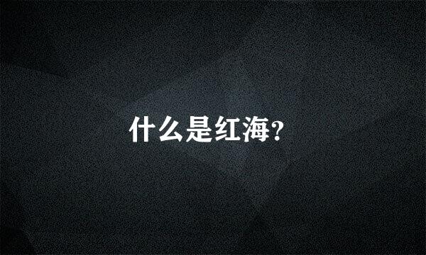 什么是红海？