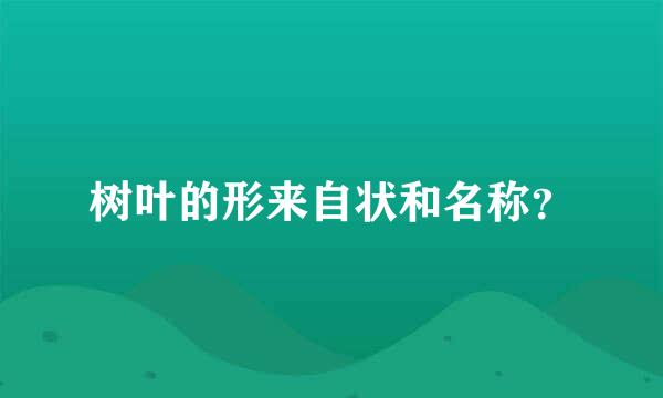 树叶的形来自状和名称？