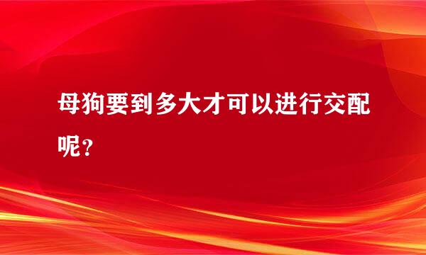 母狗要到多大才可以进行交配呢？