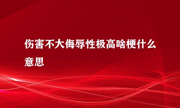 伤害不大侮辱性极高啥梗什么意思