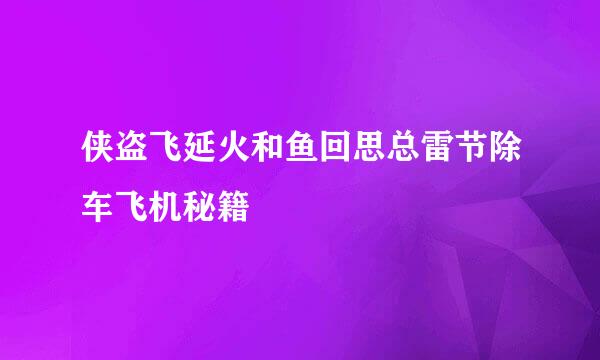 侠盗飞延火和鱼回思总雷节除车飞机秘籍