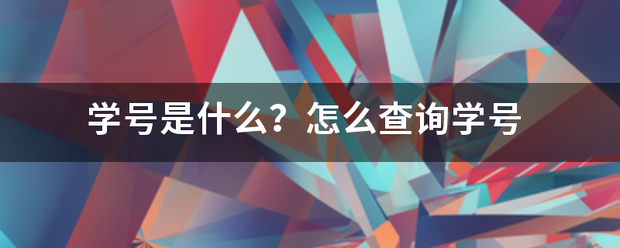 学号是来自什么？怎么查询学号