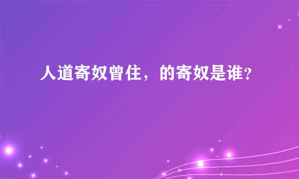 人道寄奴曾住，的寄奴是谁？