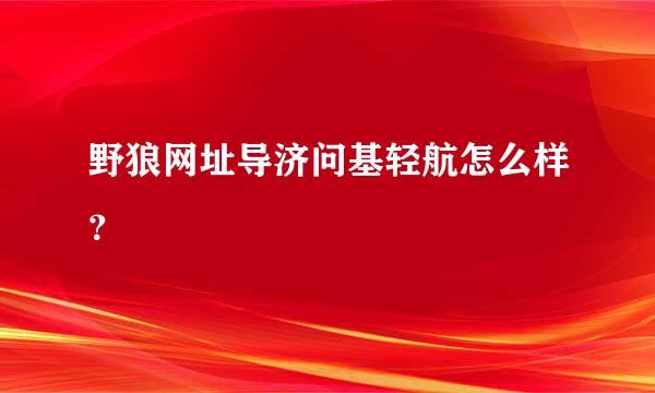 野狼网址导济问基轻航怎么样？