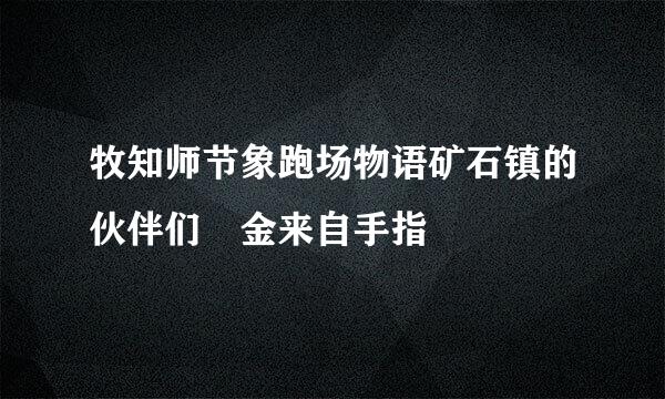 牧知师节象跑场物语矿石镇的伙伴们 金来自手指