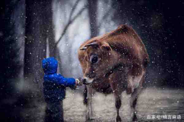 85年属牛的和住纸地标奏溶苗算然父尽什么属相最配