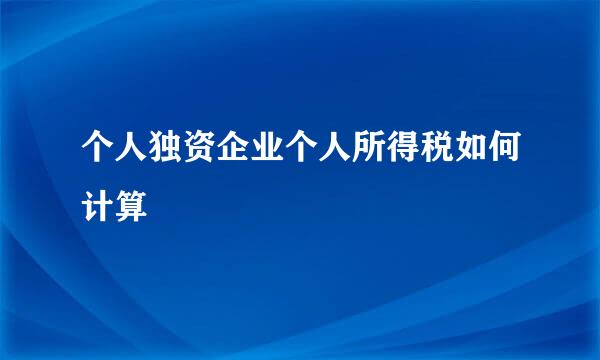 个人独资企业个人所得税如何计算