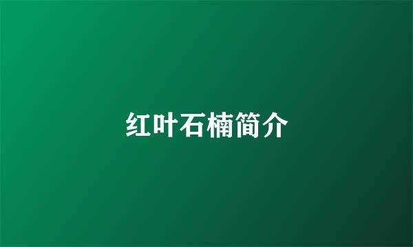 红叶石楠简介