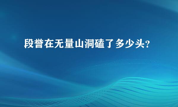 段誉在无量山洞磕了多少头？