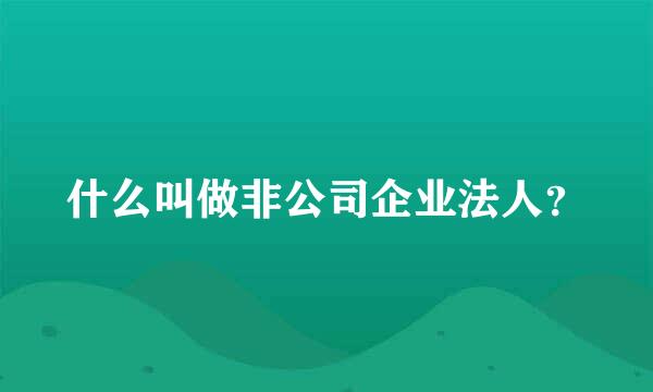 什么叫做非公司企业法人？