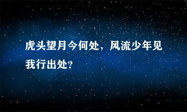 虎头望月今何处，风流少年见我行出处？