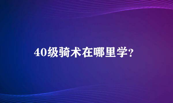 40级骑术在哪里学？