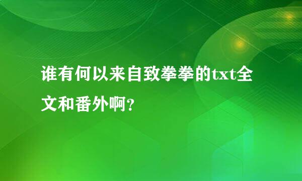 谁有何以来自致拳拳的txt全文和番外啊？