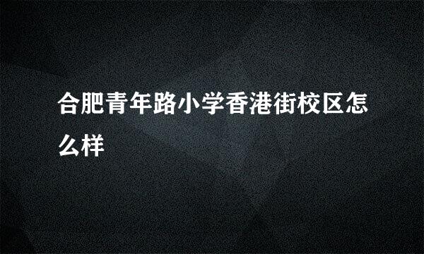 合肥青年路小学香港街校区怎么样