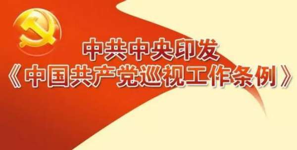 根据中国共产党巡视工作条例，巡视工作人员实行什么回避