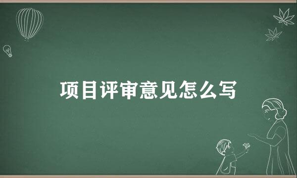 项目评审意见怎么写