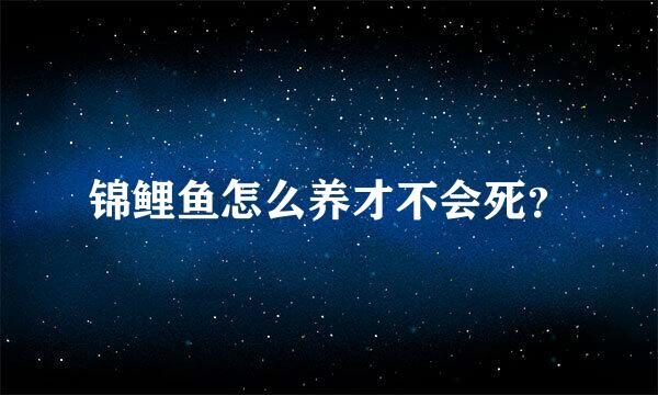 锦鲤鱼怎么养才不会死？