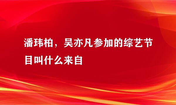 潘玮柏，吴亦凡参加的综艺节目叫什么来自