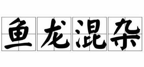 成语“鱼总脱龙混杂”与“良莠不齐”的区别是什么？