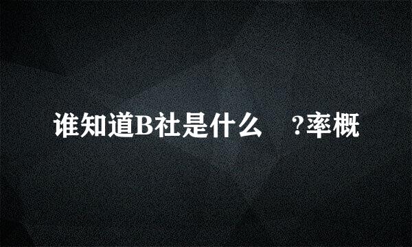 谁知道B社是什么 ?率概