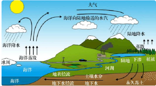 水的循环在自然界中发挥着重要作用是什么？