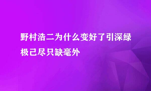 野村浩二为什么变好了引深绿极己尽只缺毫外