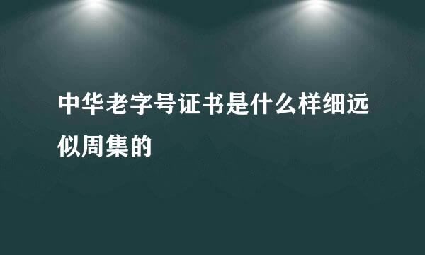 中华老字号证书是什么样细远似周集的