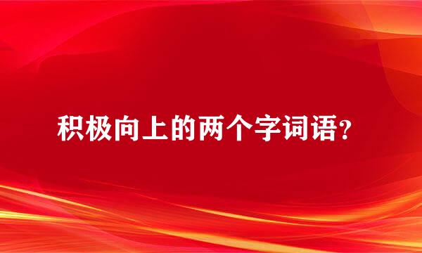 积极向上的两个字词语？