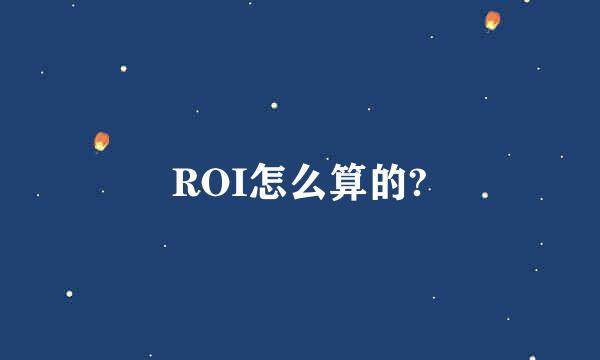 ROI怎么算的?